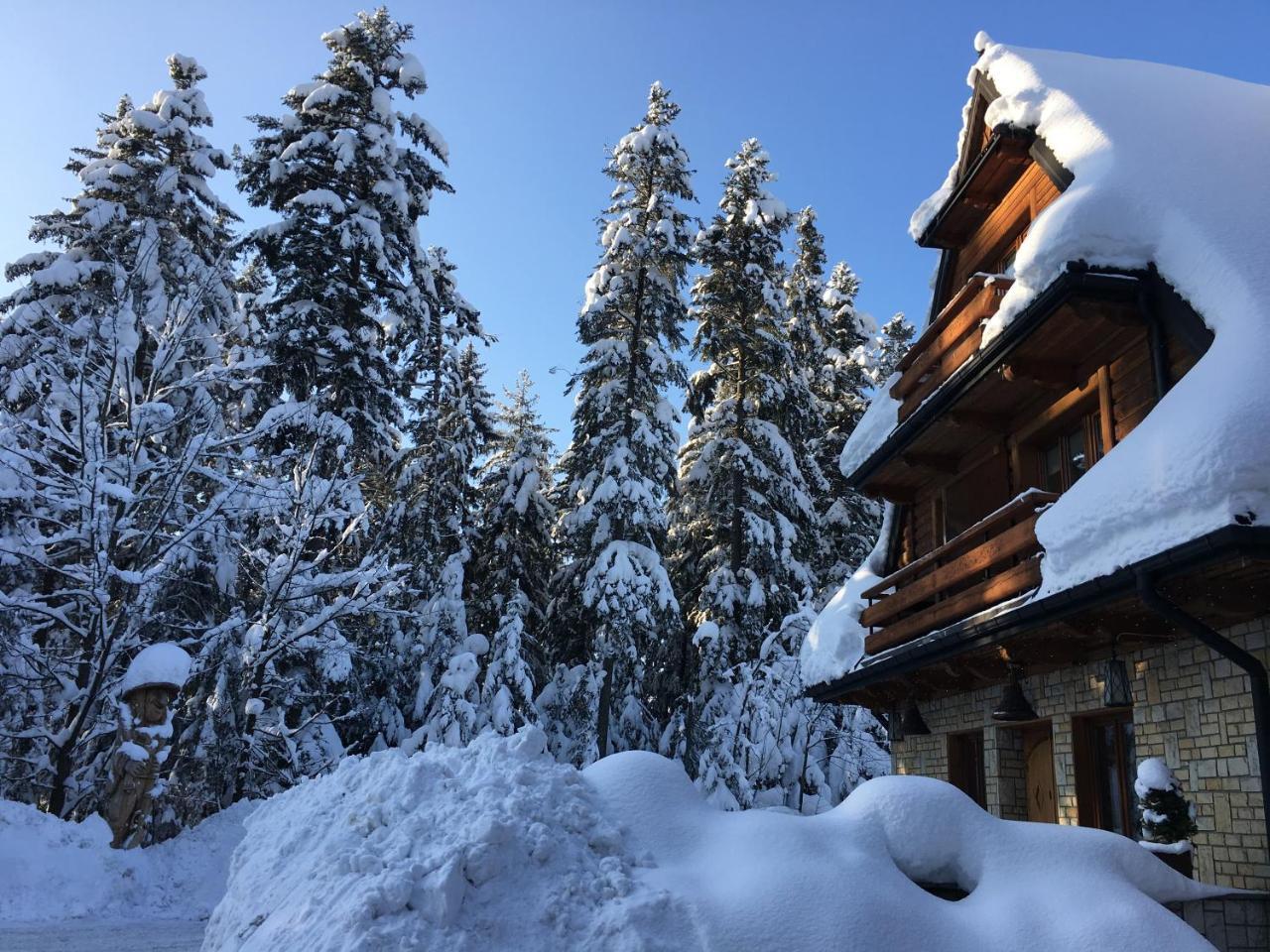 Hotel Dwor Karolowka Zakopane Ngoại thất bức ảnh